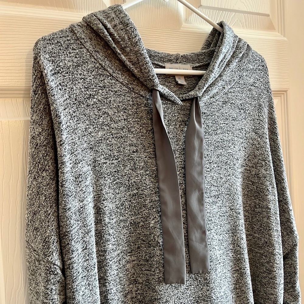 belle sky Tunic Hoodie
